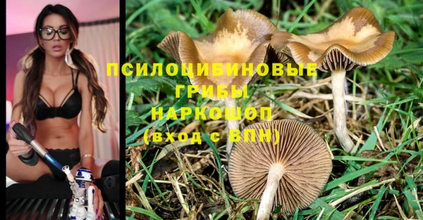 синтетический гашиш Надым