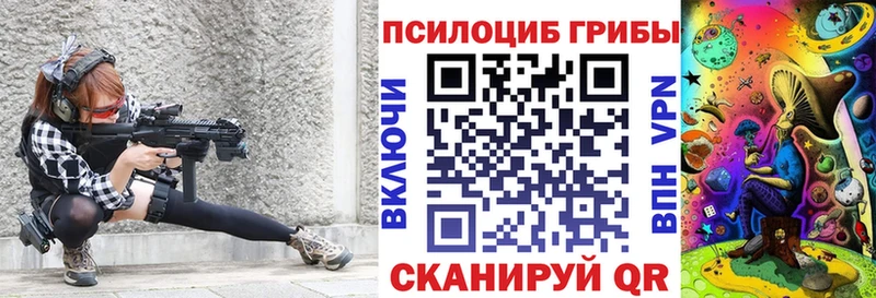 наркота  Новопавловск  Псилоцибиновые грибы Cubensis 