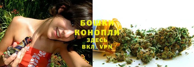 Шишки марихуана SATIVA & INDICA  мориарти какой сайт  Новопавловск 